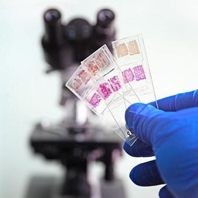 Microbiology and Pathology Laboratory